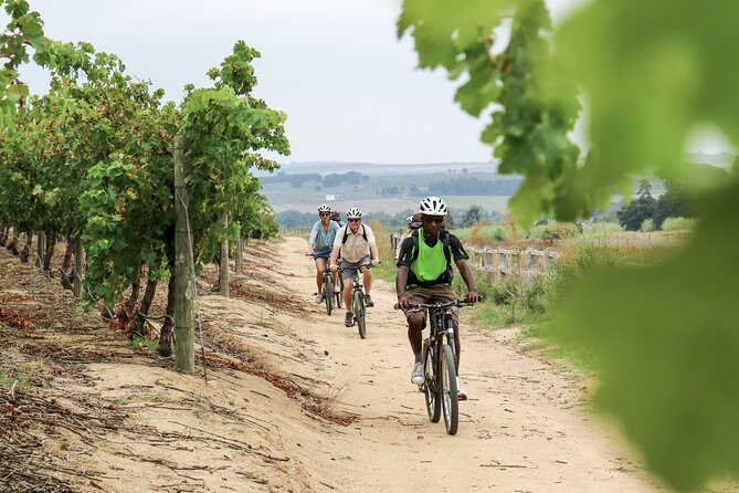 Stellenbosch Half Day Winelands Mountain Bike Tour - Weather, clothing, and riding ability