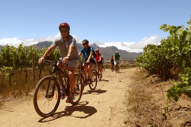 Stellenbosch Half Day Winelands Mountain Bike Tour - Starting at Skilpadvlei Wine Estate