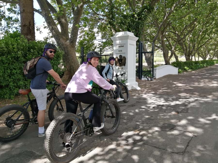 Stellenbosch: Wine Farm E-Bike Guided Tour - Key points to know before booking