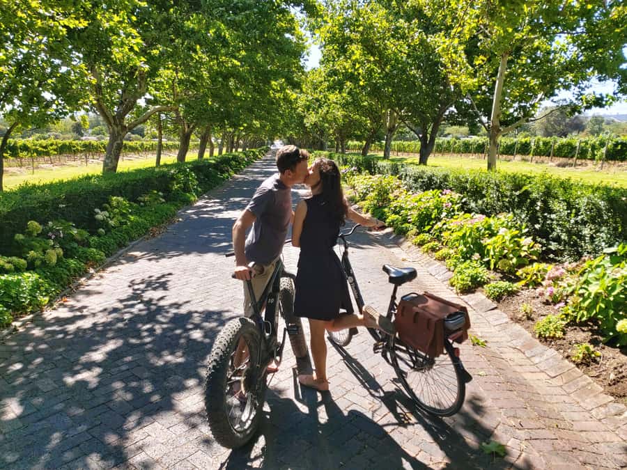 Stellenbosch: Wine Farm E-Bike Guided Tour - The first wine farm stop, 30 minutes of tasting and free time
