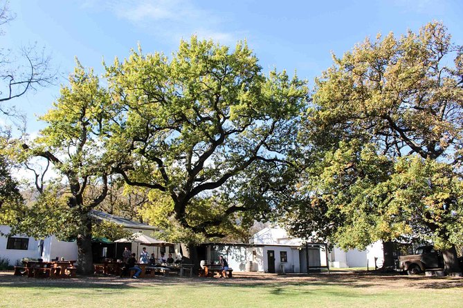 Stellenbosch Winelands Connoisseur Day Tour with Private Transfer - Haute Cabriere and the underground tasting room