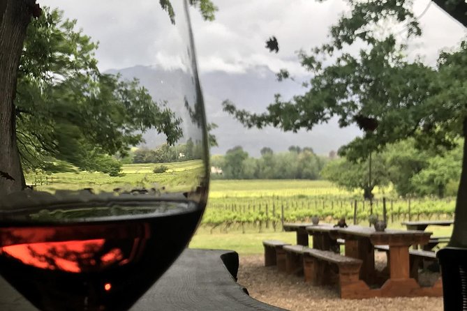 Stellenbosch Winelands Connoisseur Day Tour with Private Transfer - Lunch and free time in Franschhoek