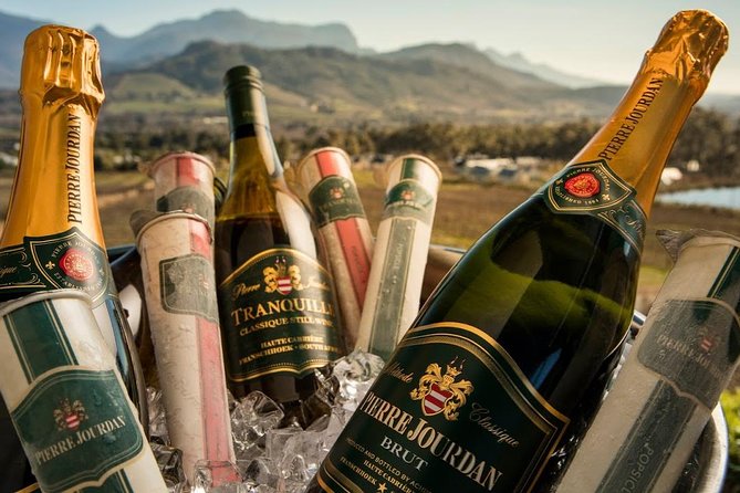 Stellenbosch Winelands Connoisseur Day Tour with Private Transfer - The guides and the private format