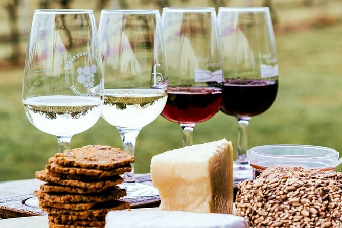 Stellenbosch Winelands Experience - Why This Stellenbosch Day Feels Different