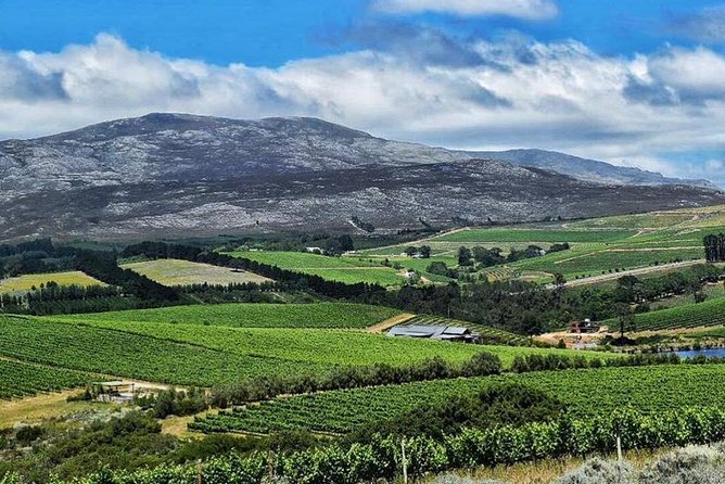 Stellenbosch Winelands Experience - What Is Included for $259.73?