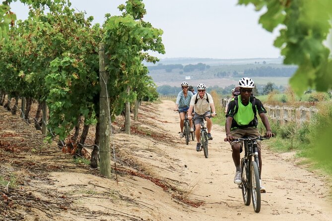 Stellenbosch Winelands Luxury EBike Tour © - Four estates, one electric-bike route