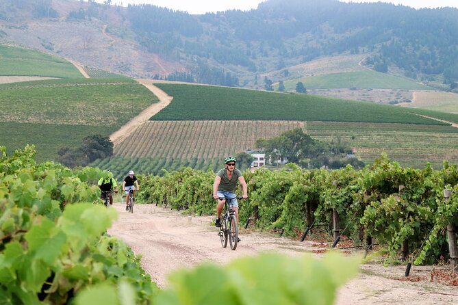 Stellenbosch Winelands Luxury EBike Tour © - De Waal Wines and nine generations of winemaking
