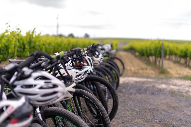 Stellenbosch Winelands Luxury EBike Tour © - What the $126.69 price really covers
