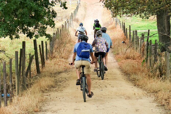 Stellenbosch Winelands Luxury EBike Tour © - Who should book this tour