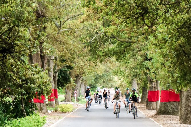 Stellenbosch Winelands Luxury EBike Tour © - Practical details before you go