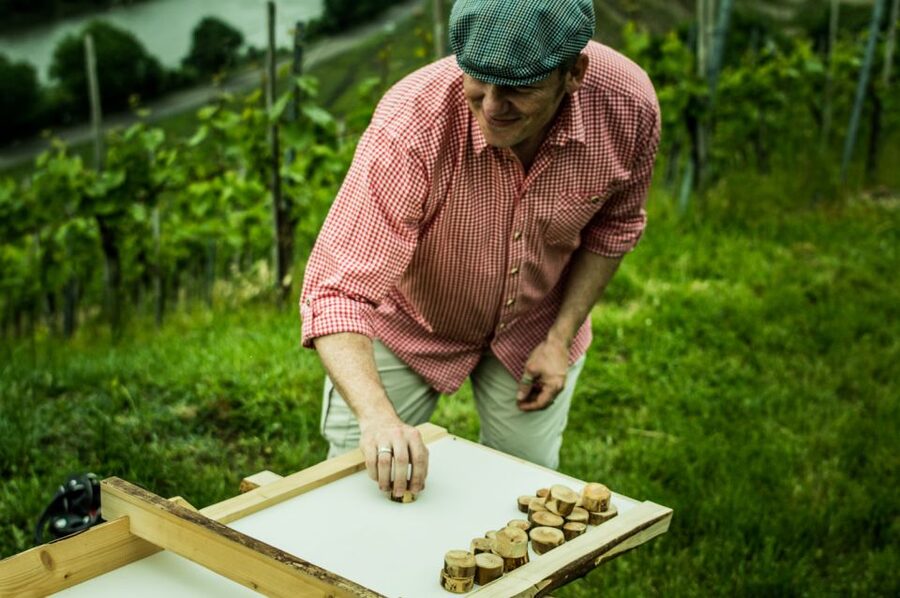 Stuttgart: Guided Vineyards Tour - The views over Bad Cannstatt and the Neckar