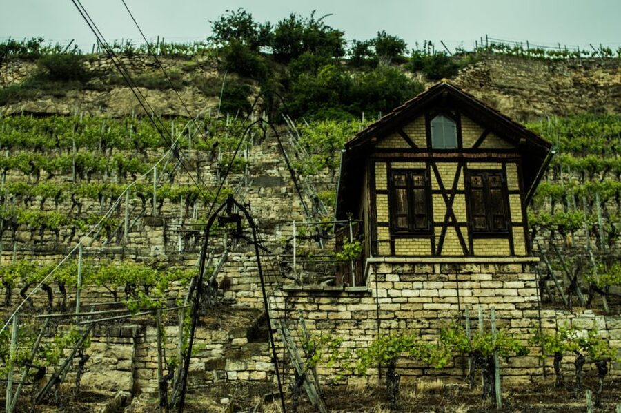 Stuttgart: Guided Vineyards Tour - How the guide shapes the afternoon
