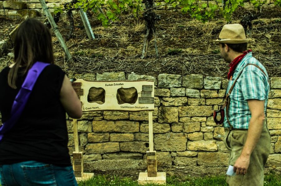 Stuttgart: Guided Vineyards Tour - Is $800 good value for your group?