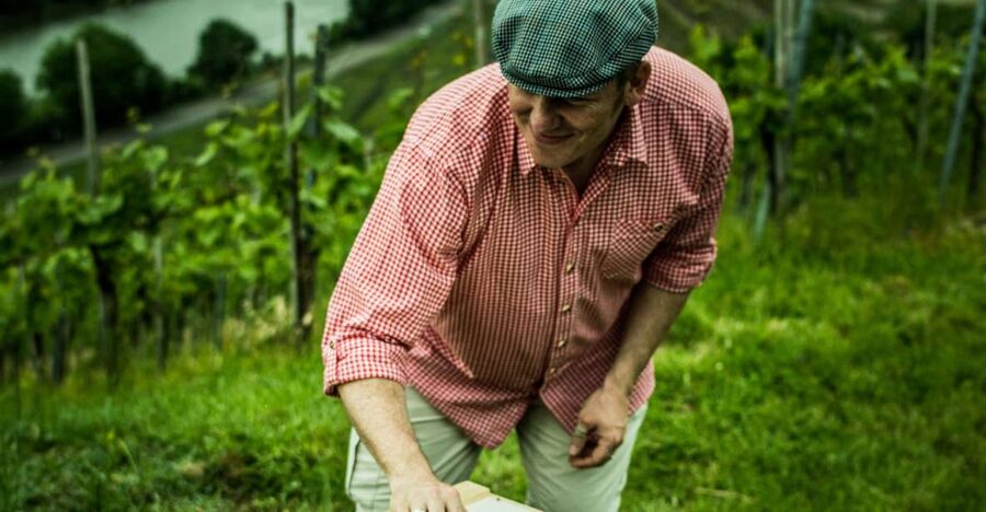 Stuttgart: Guided Vineyards Tour - Who will enjoy this Stuttgart outing most