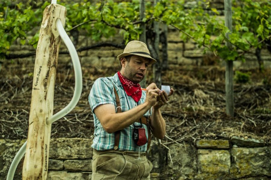 Stuttgart: Guided Vineyards Tour - Why the walking route is part of the tasting