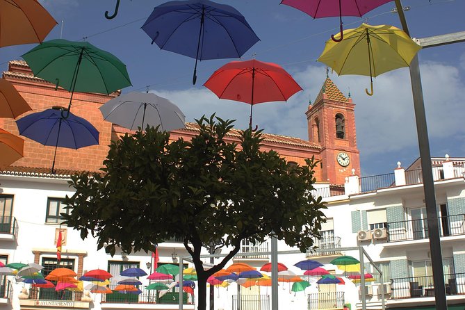 Sun and Wine Route - Small group, wine tasting and tapas included - Should you book it?