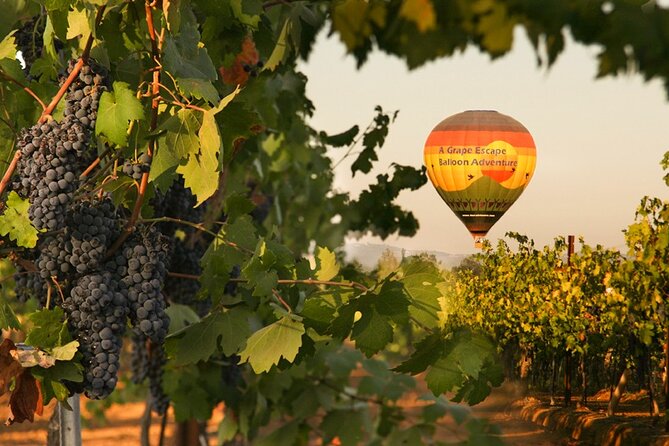 Sunrise Hot Air Balloon Flight over the Temecula Wine Country - Key points to know before you book