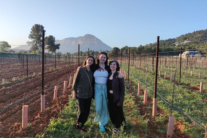 Sunset among Vineyards with Tasting in Alicante (min 6-12 people) - A young vineyard, not a finished wine estate