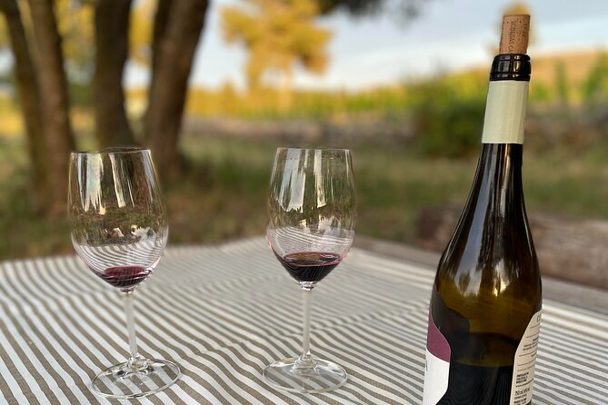 Sunset among Vineyards with Tasting in Alicante (min 6-12 people) - Timing, group size, and the sunset question