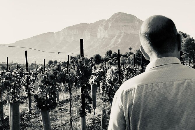 Sunset among Vineyards with Tasting in Alicante (min 6-12 people) - Comfort and access in the open air