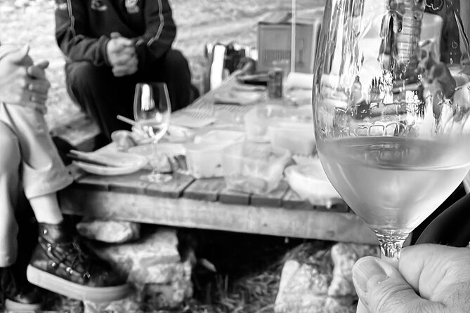 Sunset among Vineyards with Tasting in Alicante (min 6-12 people) - The value of a two-hour private outing