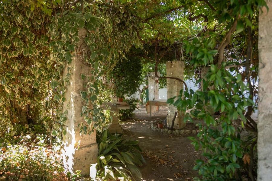 Sunset Escape in Lecce: Vineyard Picnic with Wine Tasting - How the price measures up at $82