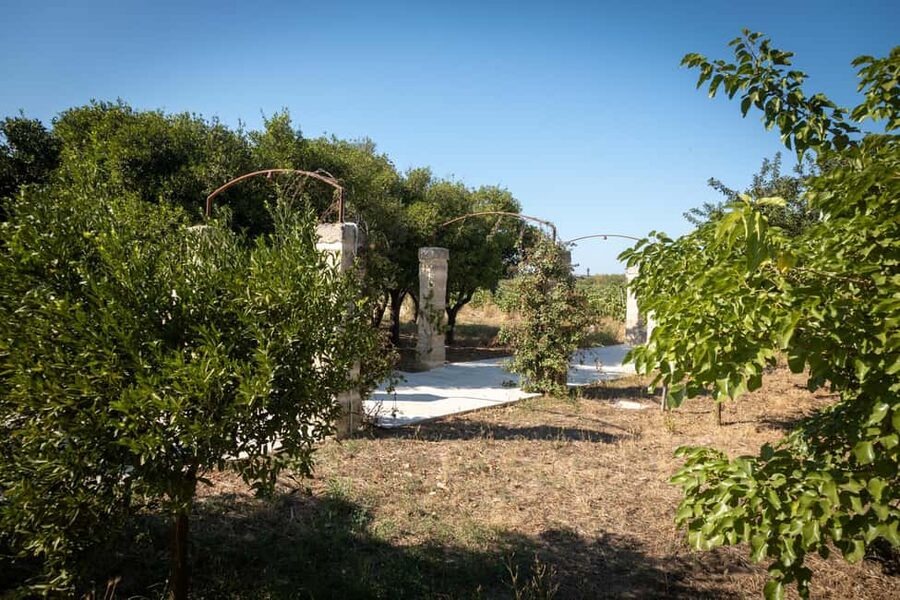 Sunset Escape in Lecce: Vineyard Picnic with Wine Tasting - Who will enjoy this Salento evening most