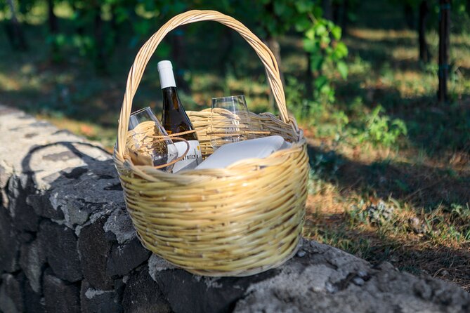 Sunset picnic in the vineyard - What happens during the two-hour visit