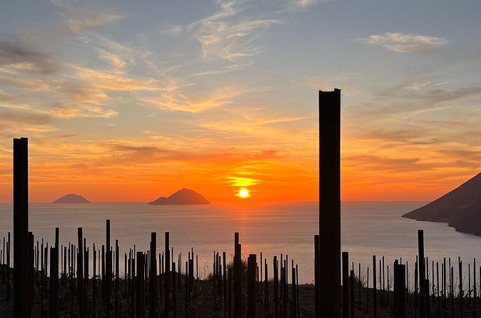 Sunset picnic in the vineyard - Is $60.01 a fair price?