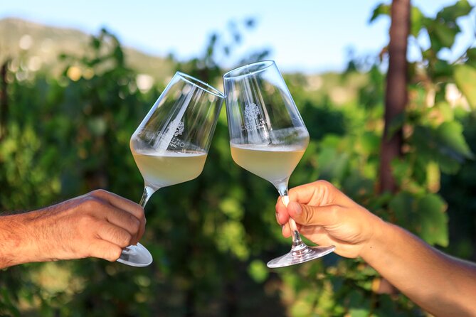 Sunset picnic in the vineyard - What you may find in the picnic basket