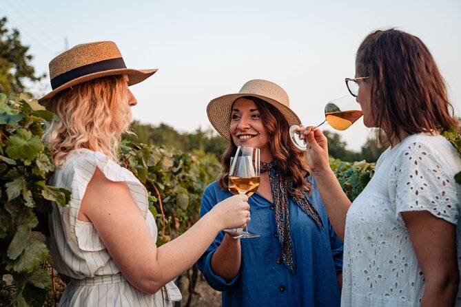 Sunset wine tasting in vineyard - A quiet vineyard above Dubrovnik