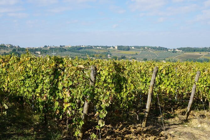 Super Chianti 2 wineries & meat feast @ Dario Cecchini—max 8 pp - Why this Chianti day works so well from Florence
