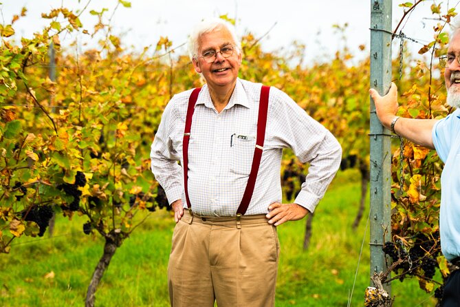 Sussex Vineyard & Winery Bus Tour on Iconic Vintage London Bus - Why the vintage bus makes this Sussex wine tour different