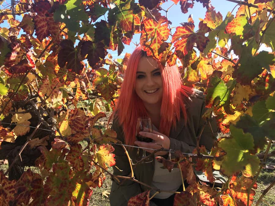 Swan Valley Full-Day Winery Experience with Lunch from Perth - Lunch with a drink, and why timing matters