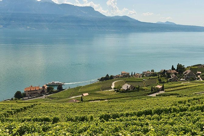 Swiss Wine Tasting at Lavaux Vineyards: Private Trip from Geneva - Why Lavaux is worth the trip from Geneva