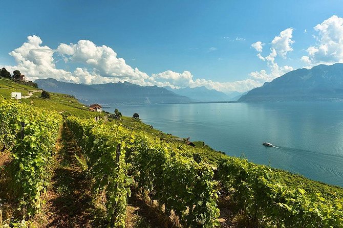 Swiss Wine Tasting at Lavaux Vineyards: Private Trip from Geneva - Reading the Lavaux terraces from the road