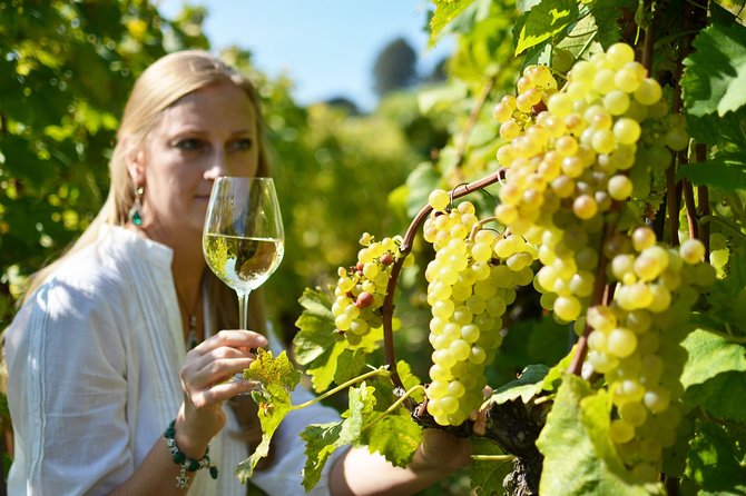 Swiss Wine Tasting at Lavaux Vineyards: Private Trip from Geneva - Chasselas, the wine you should look for