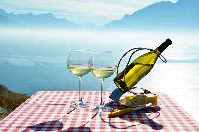 Swiss Wine Tasting at Lavaux Vineyards: Private Trip from Geneva - What the guide adds to the day