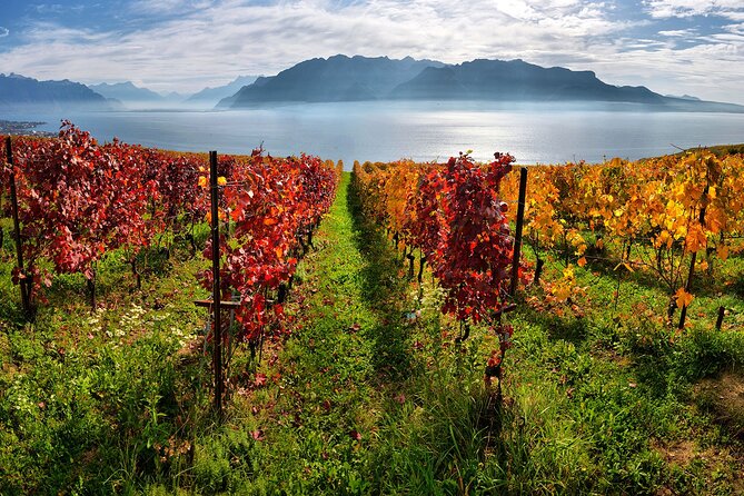 Swiss Wine Tasting at Lavaux Vineyards: Private Trip from Geneva - Practical details that can affect your plans