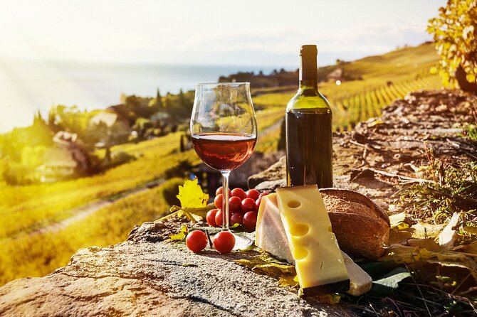 Swiss Wine Tasting at Lavaux Vineyards: Private Trip from Geneva - The private drive from Geneva