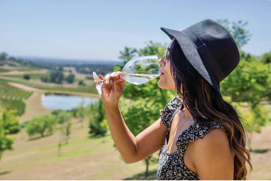 Sydney: Hunter Valley Wineries Day Trip with Food Tastings - Why this Hunter Valley day trip works well from Sydney