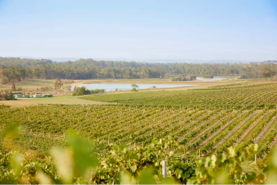 Sydney: Hunter Valley Wineries Day Trip with Food Tastings - The views and the long return to Sydney