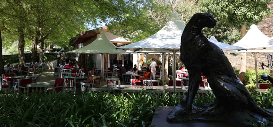 Table Mountain & Constantia Wine Estate Private Combo Tour - Key points to know before booking