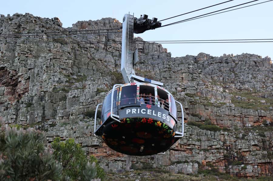 Table Mountain & Constantia Wine Estate Private Combo Tour - A full Cape Town day from cable car to cellar