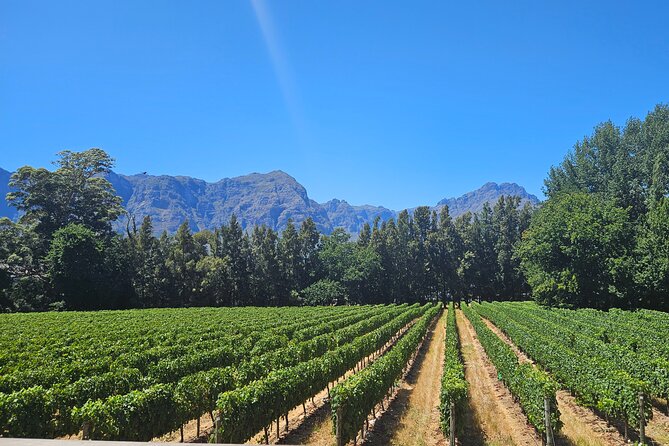 Table Mountain, Historic City and Winelands Private Day Tour - Why this private Cape Town day works