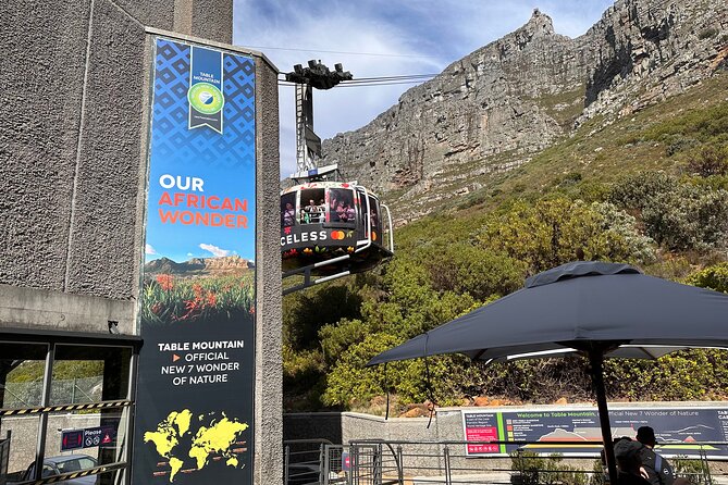 Table Mountain, Kirstenbosch and Constantia Winelands Full Day Private Tour - Kirstenbosch: two hours among Cape plants