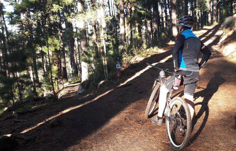 Table Mountain: Mountain Biking to Constantia Wine Estate - Why this Table Mountain ride is different