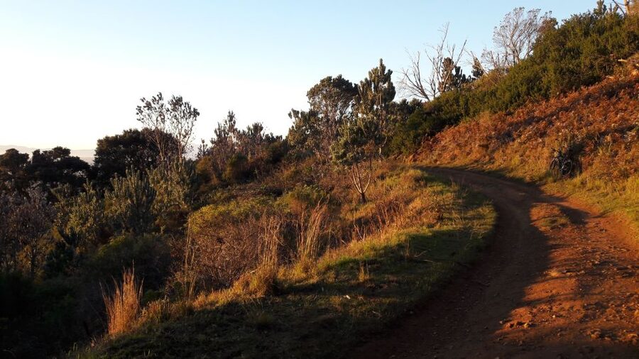 Table Mountain: Mountain Biking to Constantia Wine Estate - Arriving at Groot Constantia