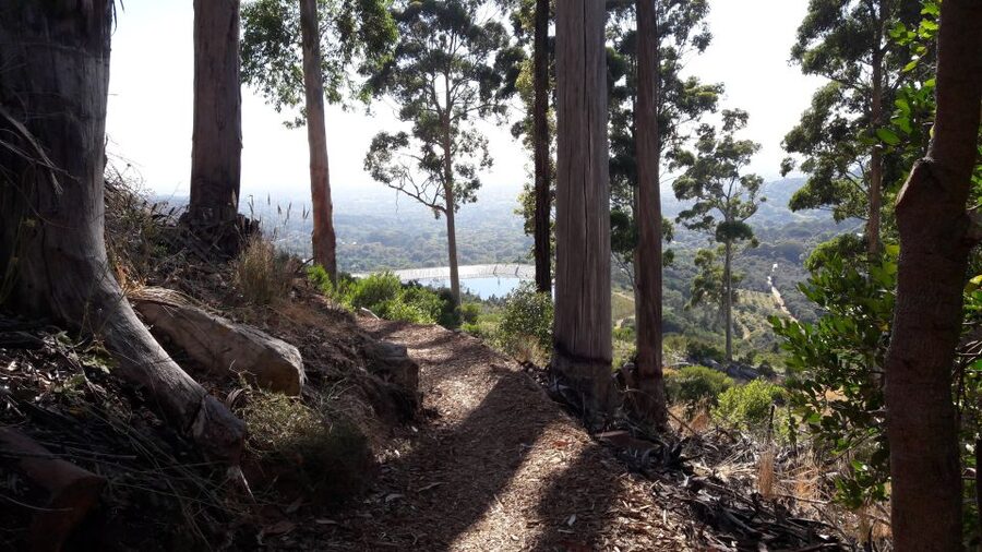 Table Mountain: Mountain Biking to Constantia Wine Estate - The morning start at the cableway café