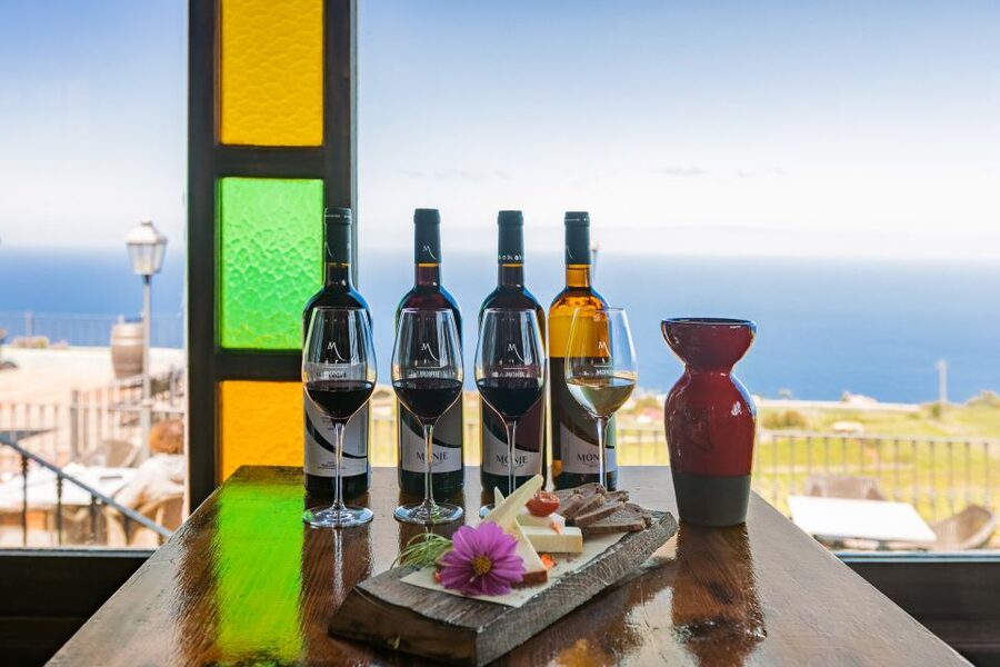 Tacoronte: Guided Winery Tour with Wine and Cheese Tastings - Four wines, four cheeses, and why the pairings work